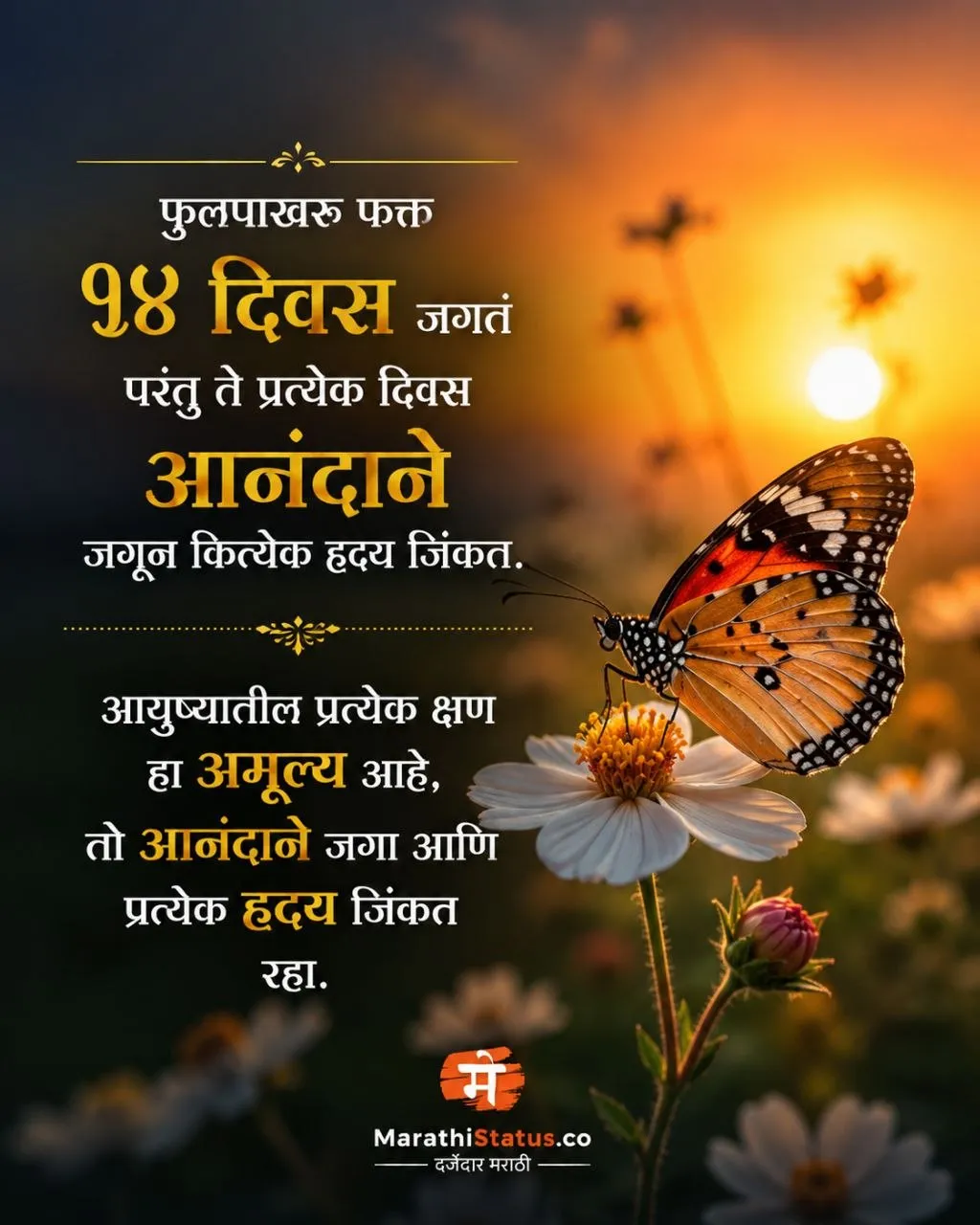 फुलपाखरू फक्त १४ दिवस जगतं, पण प्रत्येक दिवस आनंदाने जगतं Marathi Happiness Status
